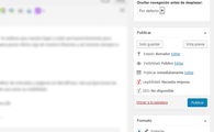 Botón de publicar de wordpress
